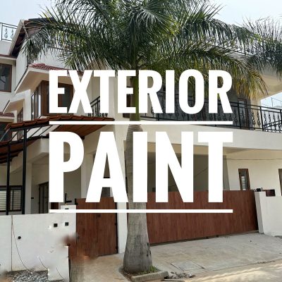 WhatsApp Image 2026-03-11 at 19.49.03